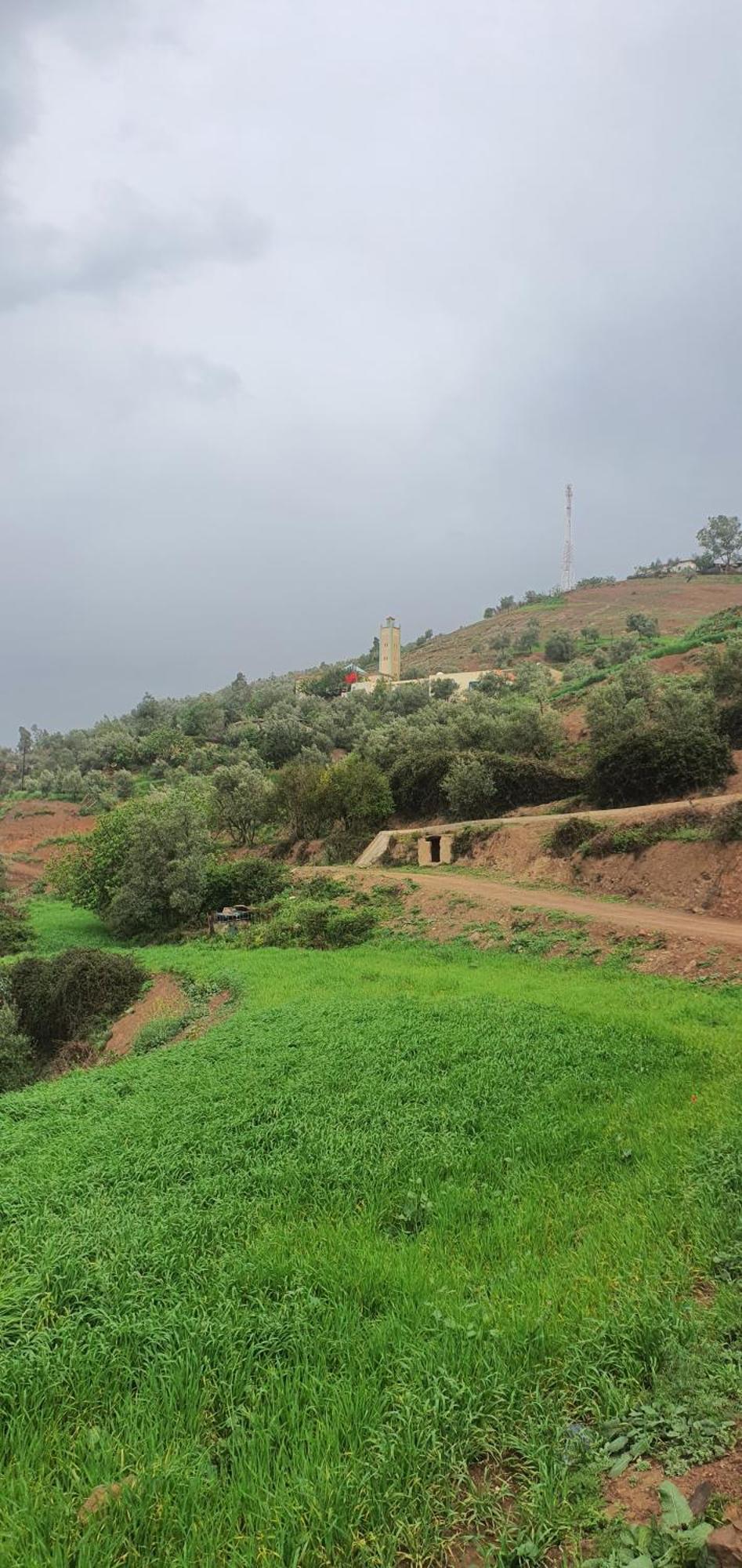 دار الضيافة تازكة Maison D'Hotes Tazekka Taza Esterno foto
