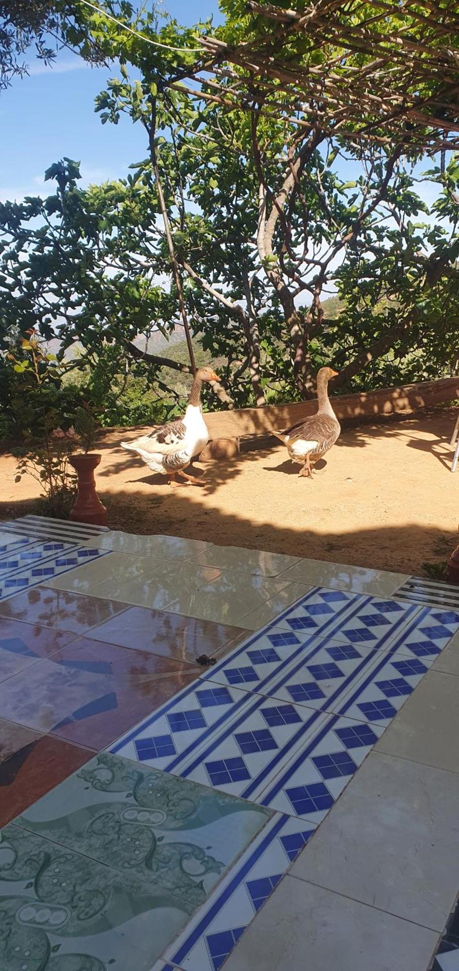 دار الضيافة تازكة Maison D'Hotes Tazekka Taza Esterno foto