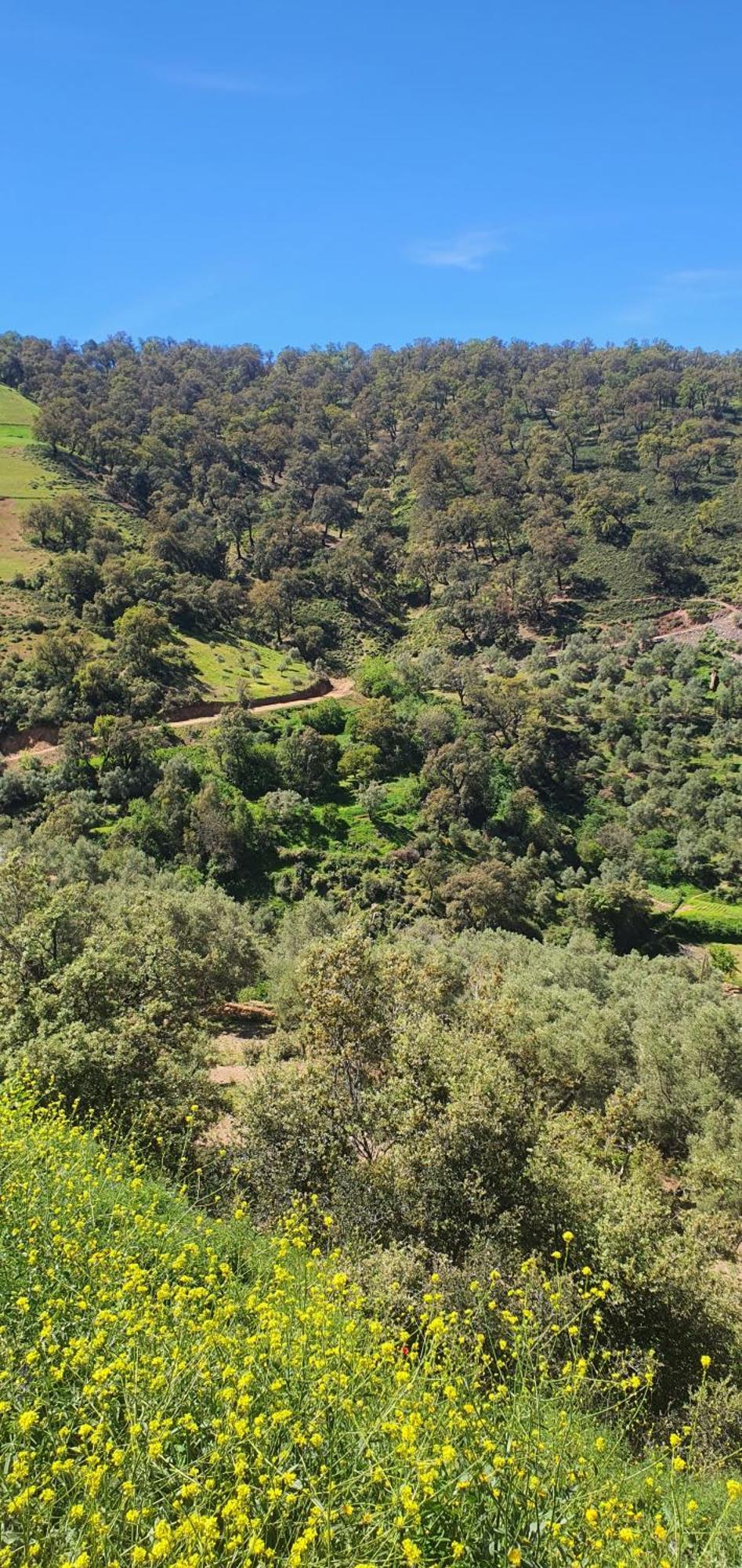 دار الضيافة تازكة Maison D'Hotes Tazekka Taza Esterno foto