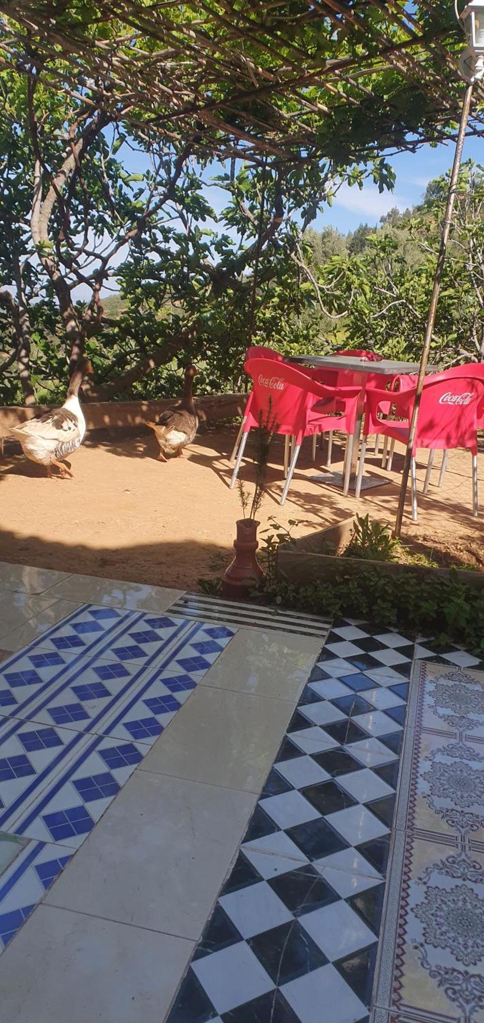 دار الضيافة تازكة Maison D'Hotes Tazekka Taza Esterno foto
